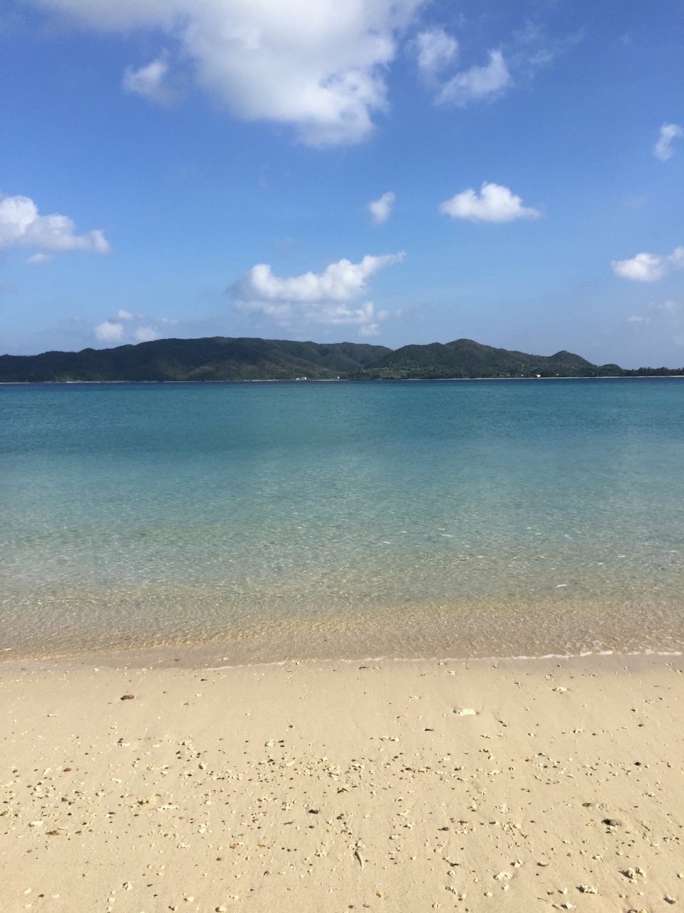 車なしで行く奄美大島 女子ひとり旅 2日目は奄美の見どころを巡る 奄美大島 鹿児島県 の旅行記 ブログ By Sachicoさん フォートラベル