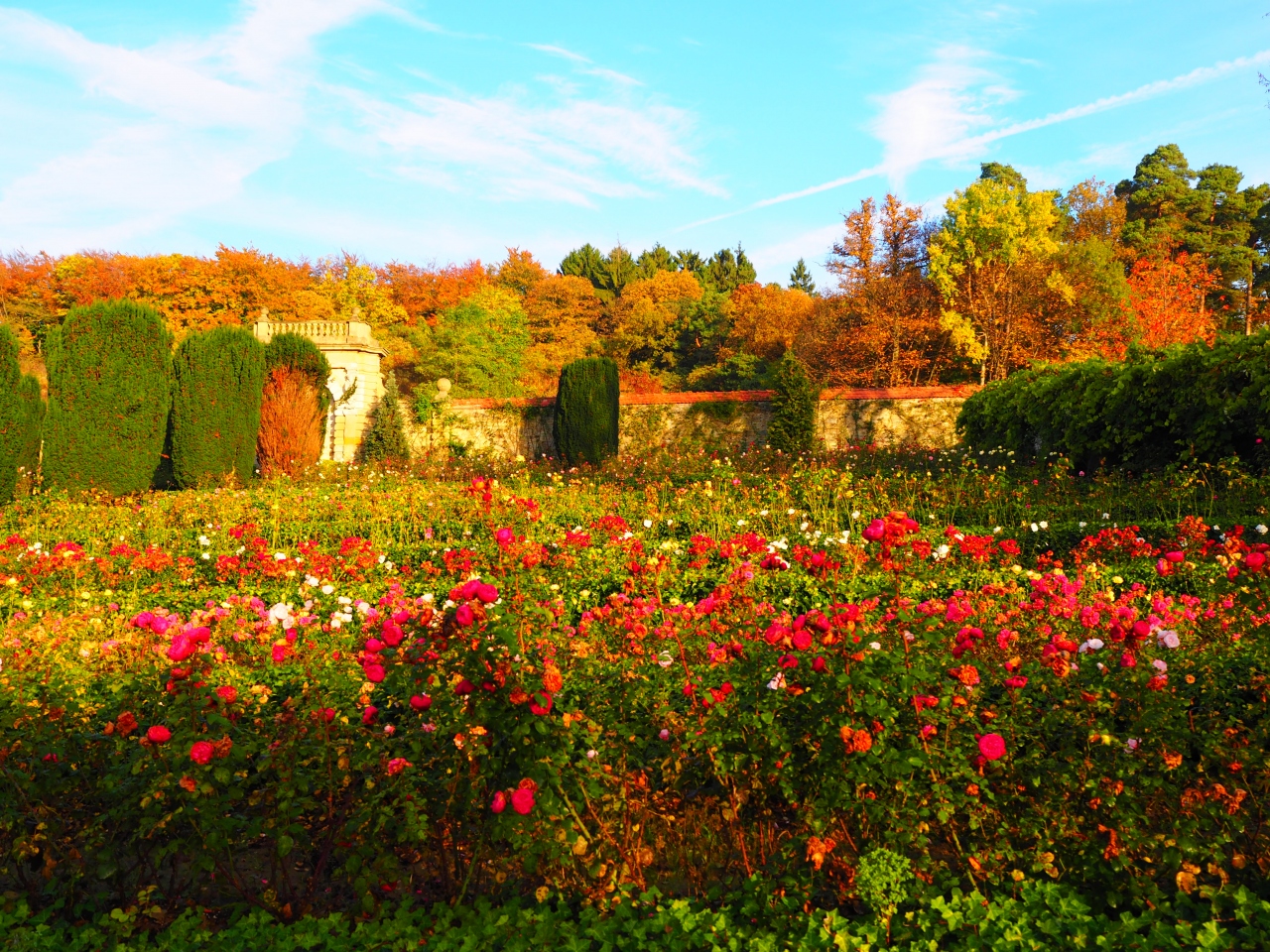 秋めくドイツ スペインを訪ねてvol 11 9 10日目 古城ホテルの秘密の花園 フランクフルト ドイツ の旅行記 ブログ By ピオニーさん フォートラベル