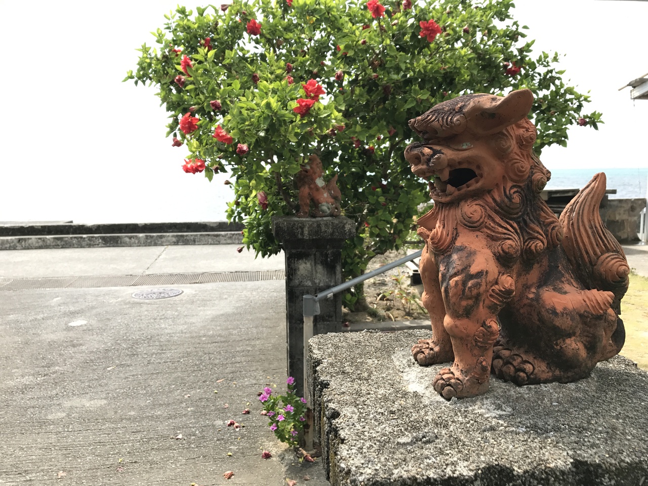 1歳6ヶ月児と行く沖縄 大泊ビーチ 恩納村 沖縄市 うるま市 伊計島 沖縄県 の旅行記 ブログ By Ay47soさん フォートラベル 1歳6ヶ月児と行く沖縄 大泊ビーチ 恩納村 沖縄市 うるま市 伊計島 沖縄県 の旅行記 ブログ By Ay47soさん フォートラベル