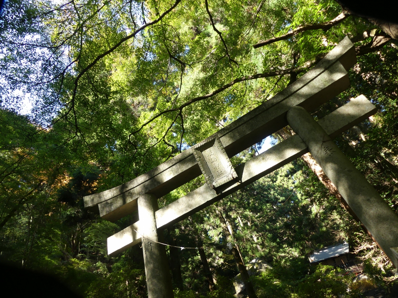 名草厳島神社の紅葉 17 まだ早すぎて紅葉していません 栃木県 足利市 足利 栃木県 の旅行記 ブログ By Minamicazeさん フォートラベル 名草厳島神社の紅葉 17 まだ早すぎて紅葉していません 栃木県 足利市 足利 栃木県 の旅行記 ブログ By Minamicazeさん フォートラベル