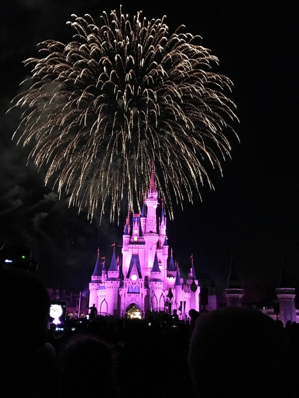 卒業旅行 Wdw オーランド アメリカ の旅行記 ブログ By ちこさん フォートラベル 卒業旅行 Wdw オーランド アメリカ の旅行記 ブログ By ちこさん フォートラベル