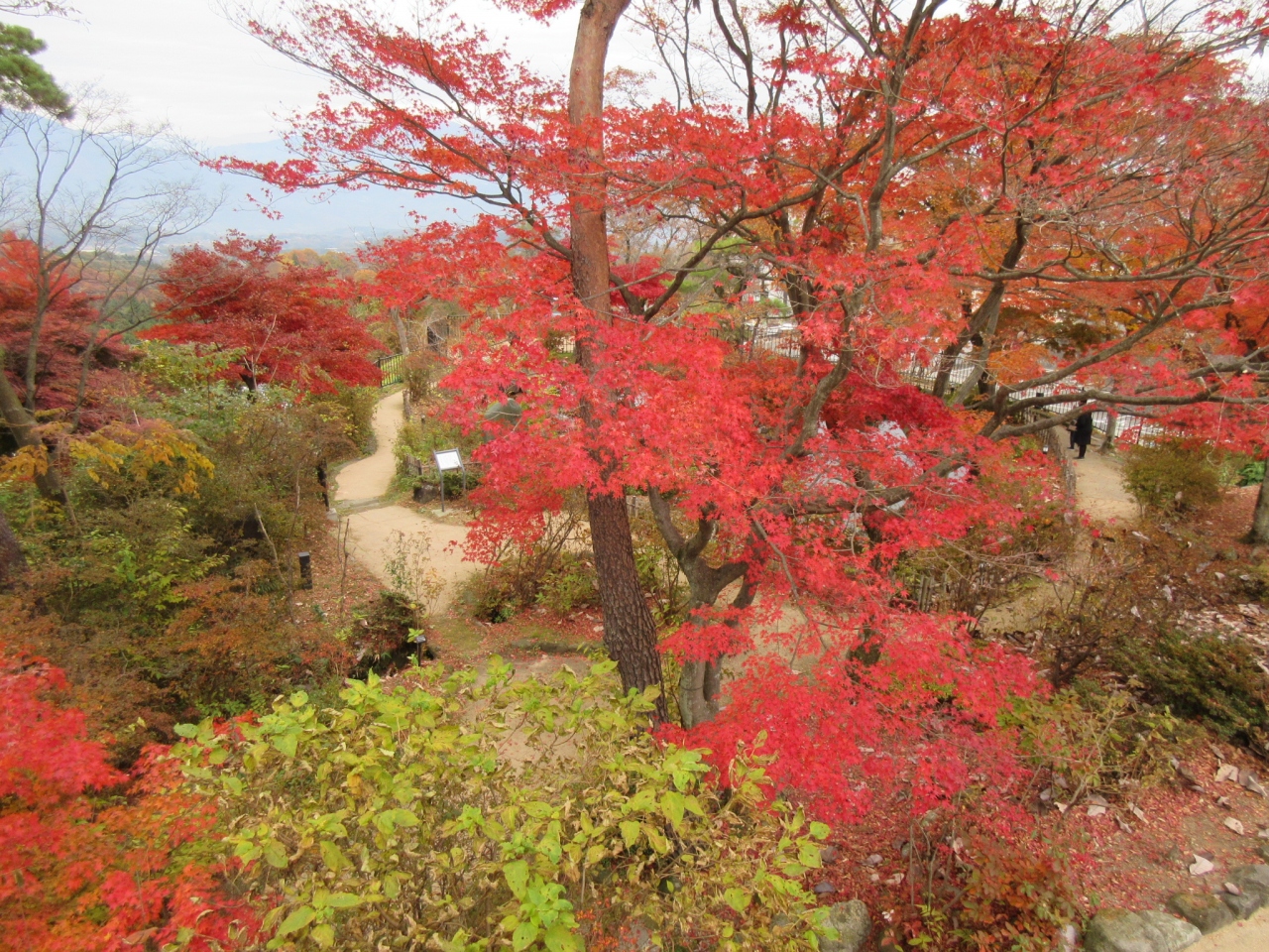 伊香保温泉のモミジ 17 伊香保温泉 群馬県 の旅行記 ブログ By Okushitwさん フォートラベル