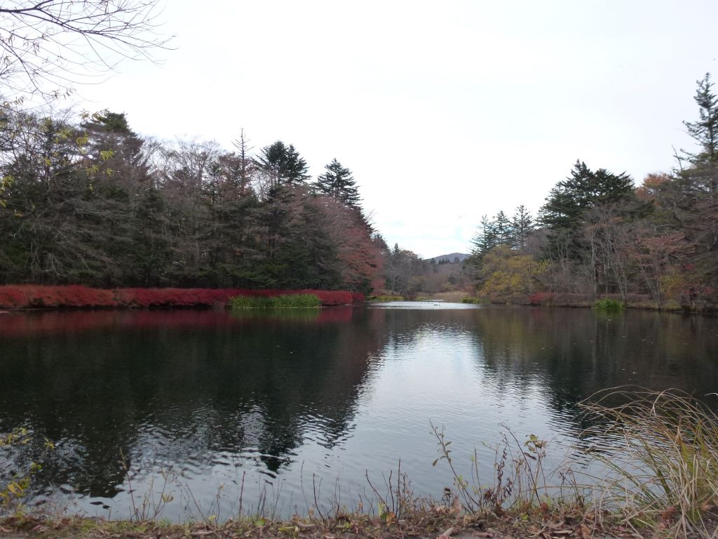 17秋を感じに横川 軽井沢日帰りトリップ 軽井沢 長野県 の旅行記 ブログ By Take Sさん フォートラベル