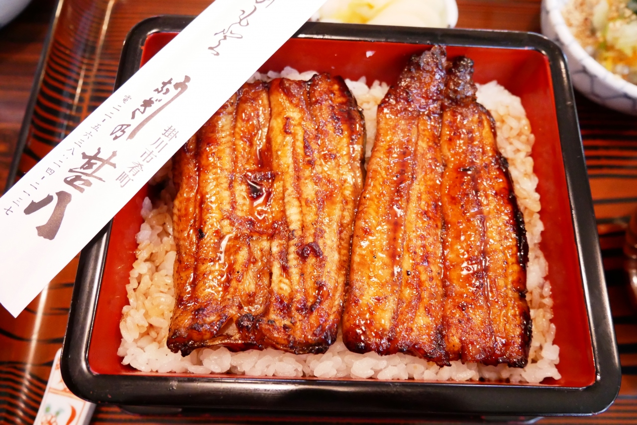17 11 恒例 義母との小旅行 前編 掛川で うなぎ を食べて なぜか海ほたる 鴨川シーワールドへ 掛川 静岡県 の旅行記 ブログ By ゆんこさん フォートラベル 17 11 恒例 義母との小旅行 前編 掛川で うなぎ を食べて なぜか海ほたる 鴨川シーワールドへ 掛川 静岡県 の旅行記 ブログ By ゆんこさん フォートラベル