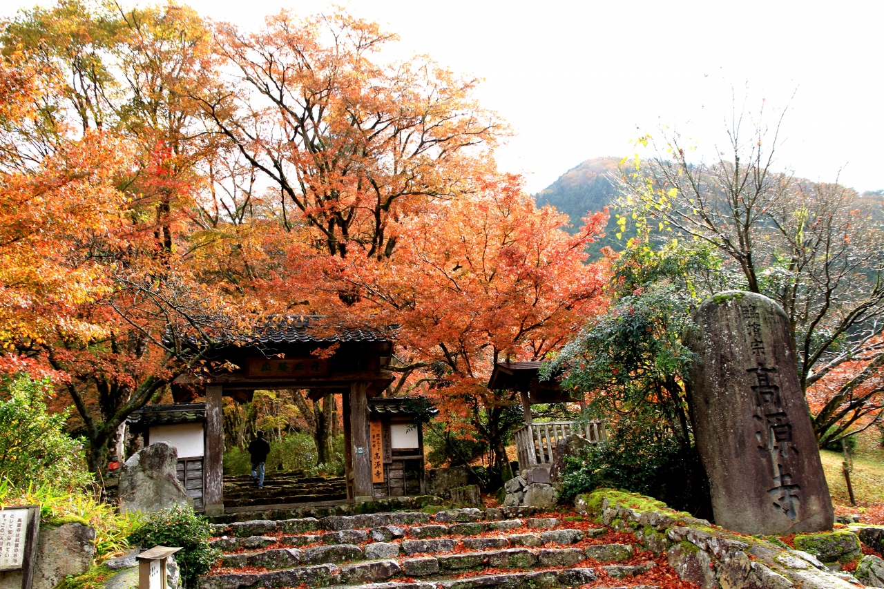 丹波紅葉三山 高源寺 円通寺 石龕寺を巡ってきました その１ 丹波 兵庫 兵庫県 の旅行記 ブログ By きよさん フォートラベル