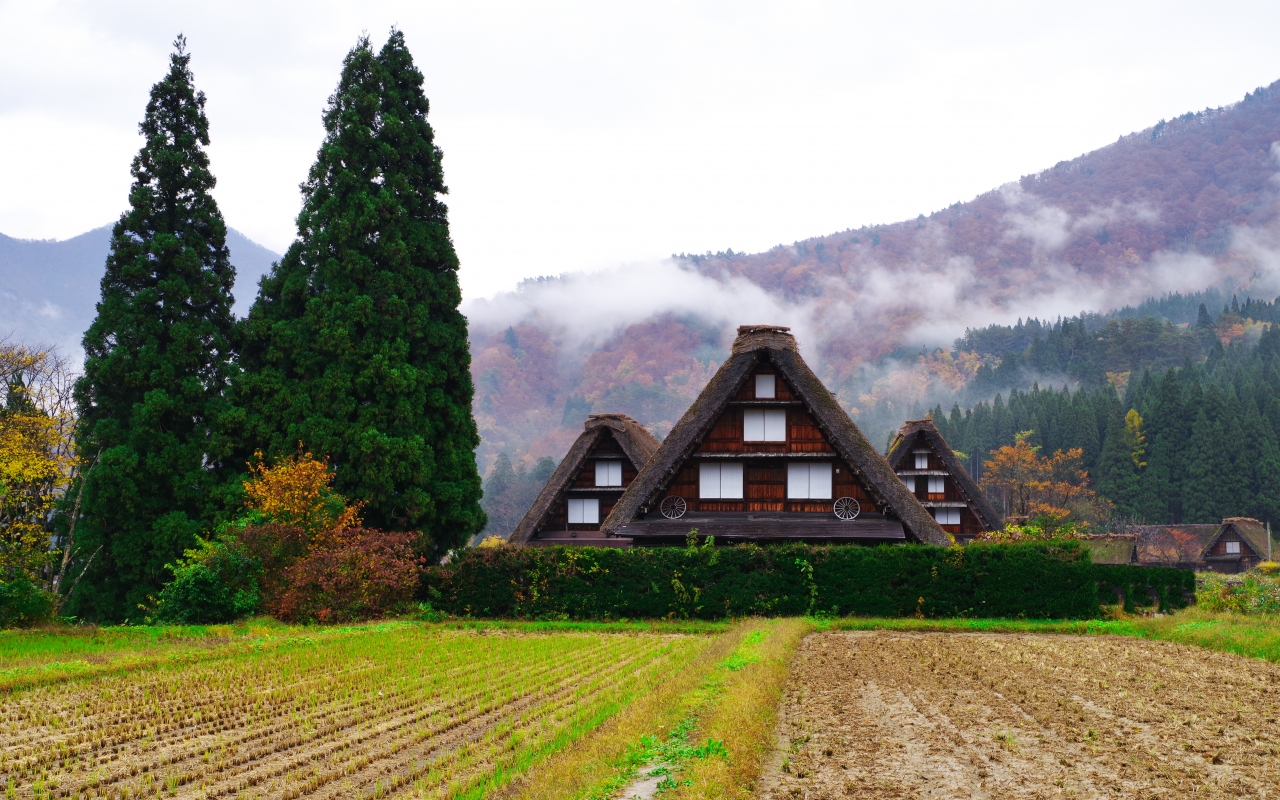 紅葉の白川郷 白川郷 岐阜県 の旅行記 ブログ By 芝猫さん フォートラベル