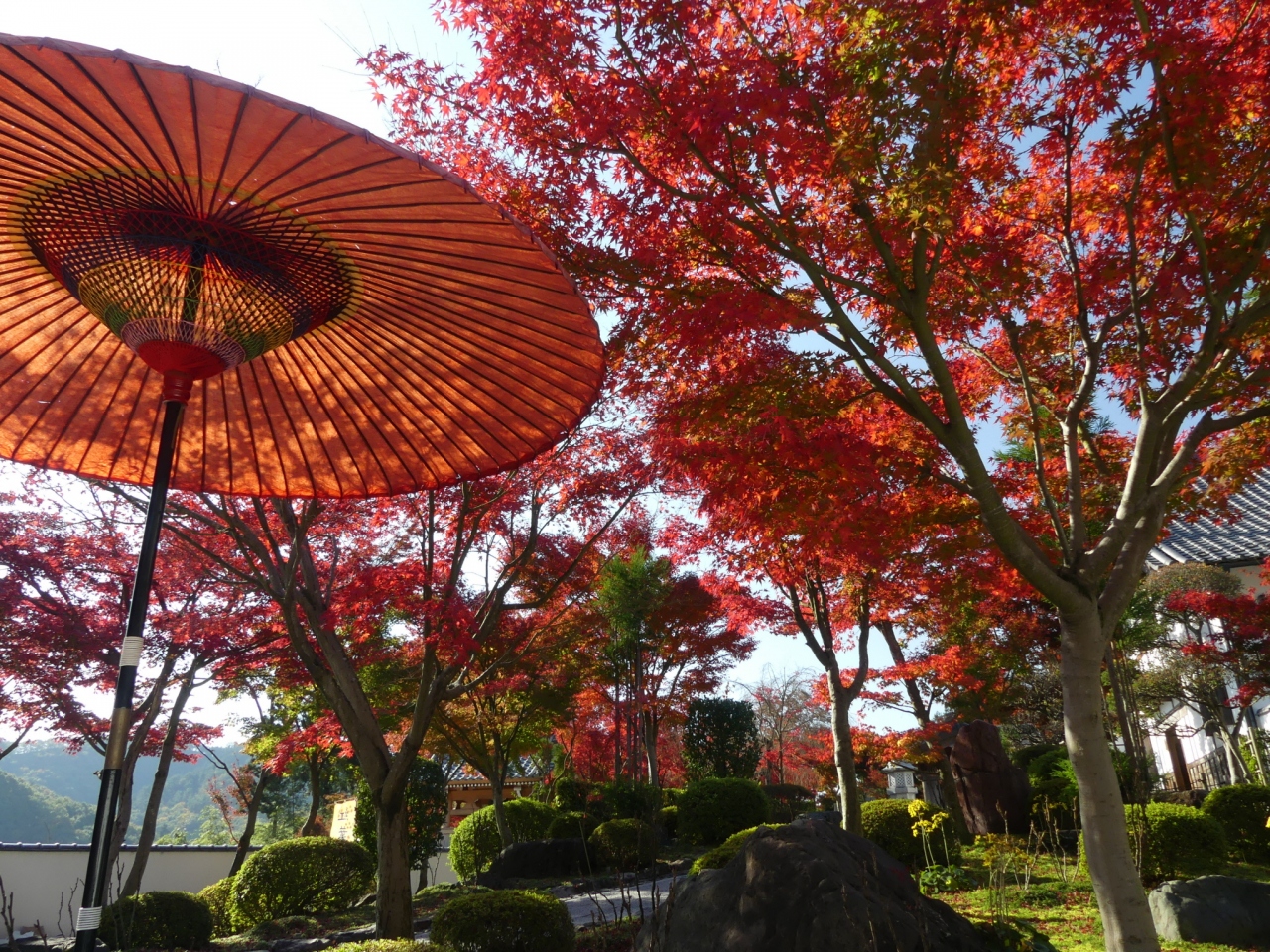 宝徳寺の紅葉 17 早い木 遅い木 混在ですが 見頃だと思います 群馬県 桐生市 桐生 群馬県 の旅行記 ブログ By Minamicazeさん フォートラベル