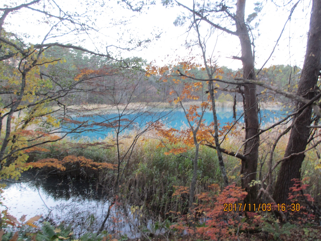 紅葉の磐梯3 6 五色沼編 裏磐梯 猫魔 福島県 の旅行記 ブログ By Kamaさん フォートラベル 紅葉の磐梯3 6 五色沼編 裏磐梯 猫魔 福島県 の旅行記 ブログ By Kamaさん フォートラベル