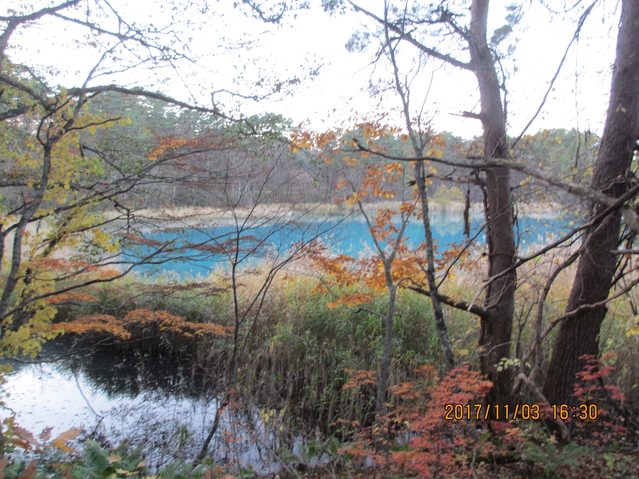 紅葉の磐梯3 6 五色沼編 裏磐梯 猫魔 福島県 の旅行記 ブログ By Kamaさん フォートラベル