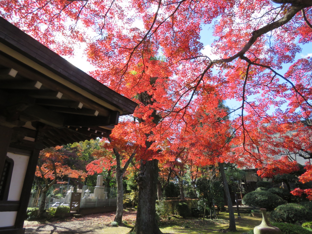 紅葉の多福寺を訪問する 所沢 埼玉県 の旅行記 ブログ By Tsunetaさん フォートラベル