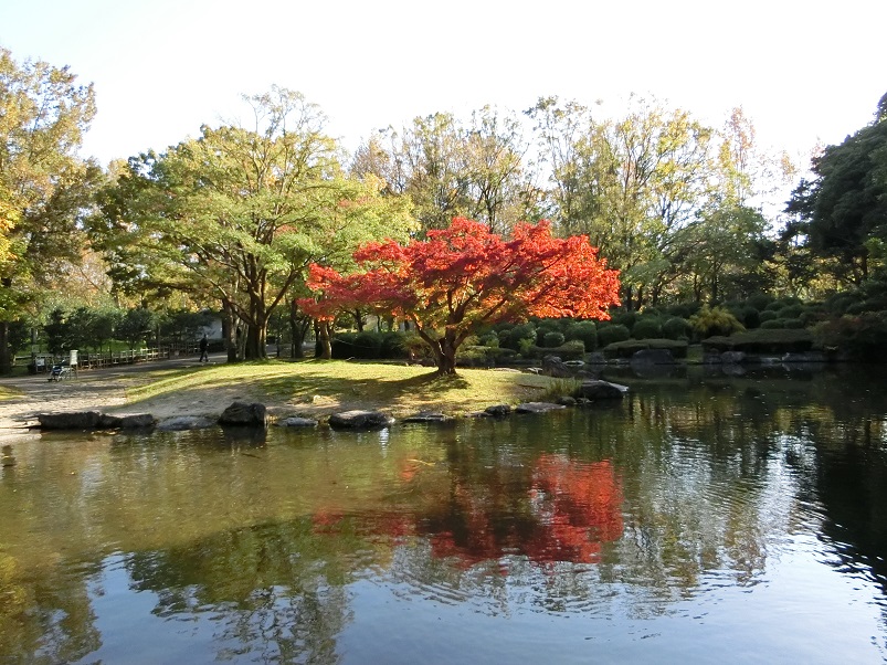 晩秋の大阪万博記念公園 自然文化園をの んびり紅葉散歩 17 吹田 万博公園 大阪 の旅行記 ブログ By Hy 2217さん フォートラベル