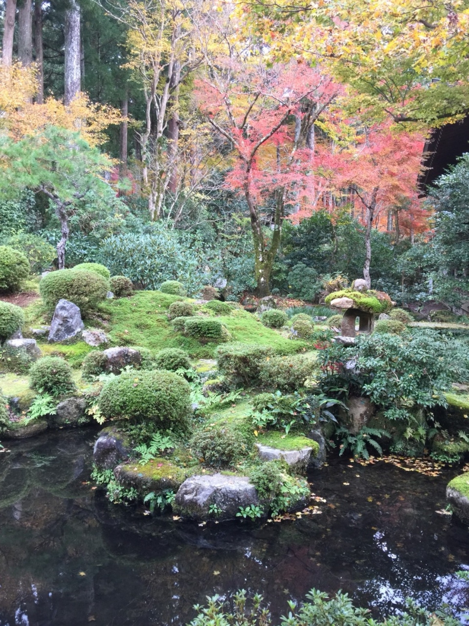秋の京都へ 紅葉の三千院 二条城のナイトアクアリウム 京都の旅行記 ブログ By 旅ノ助とポン太とさん フォートラベル