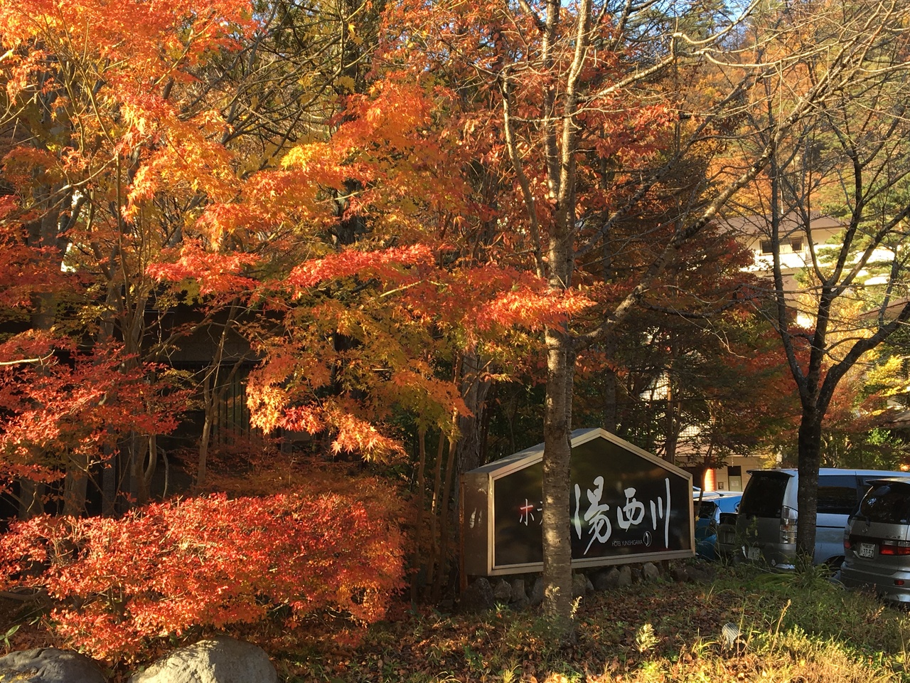 2回目 伊東園ホテルグループ ホテル湯西川 湯西川温泉 栃木県 の旅行記 ブログ By 金木犀さん フォートラベル