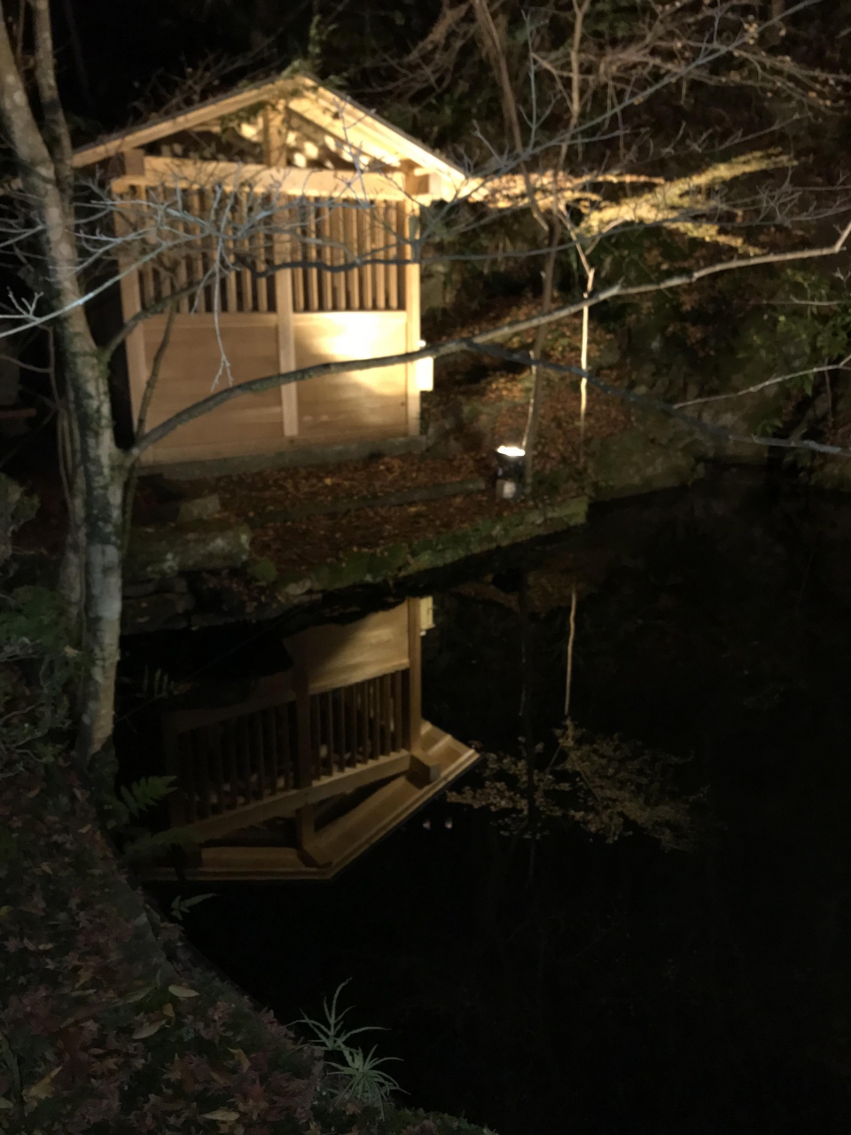 淡海の紅葉 石山寺あたら夜もみじ 紅葉ライトアップ を訪ねて 速報版 石山寺周辺 滋賀県 の旅行記 ブログ By たかちゃんティムちゃんはるおちゃん ついでにおまけのまゆみはん さん フォートラベル 淡海の紅葉 石山寺あたら夜もみじ 紅葉ライトアップ を訪ねて 速報版 石山寺周辺 滋賀県 の旅行記 ブログ By たかちゃんティムちゃんはるおちゃん ついでにおまけのまゆみはん さん フォートラベル