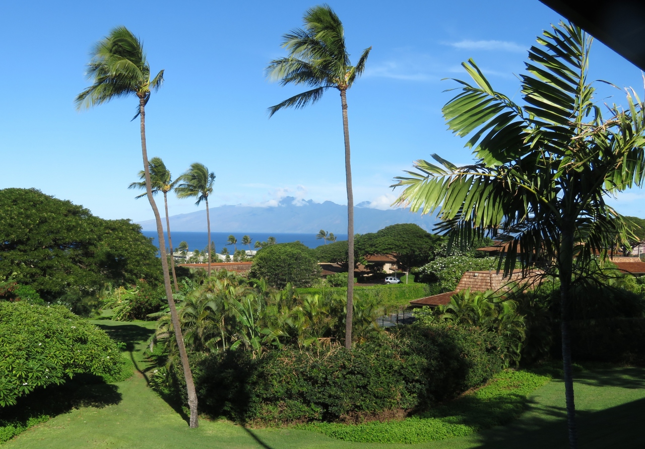 マウイ島カアナパリで初めてのコンドミニアム滞在 マウイ島 ハワイ の旅行記 ブログ By トムさん フォートラベル