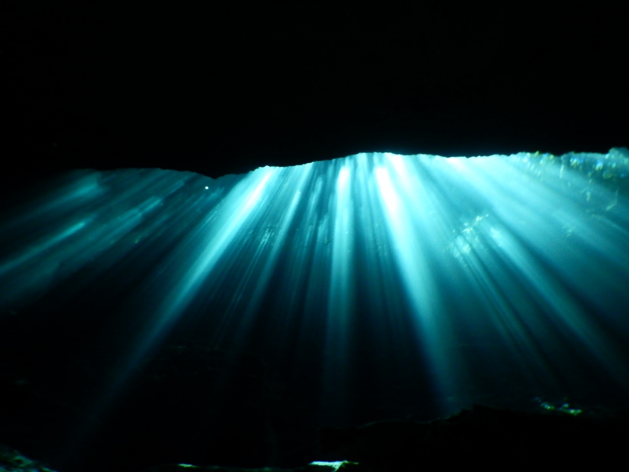 『巡るMexico Playa del Carmen（Cenote Dive）』プラヤ・デル・カルメン(メキシコ)の旅行記・ブログ by