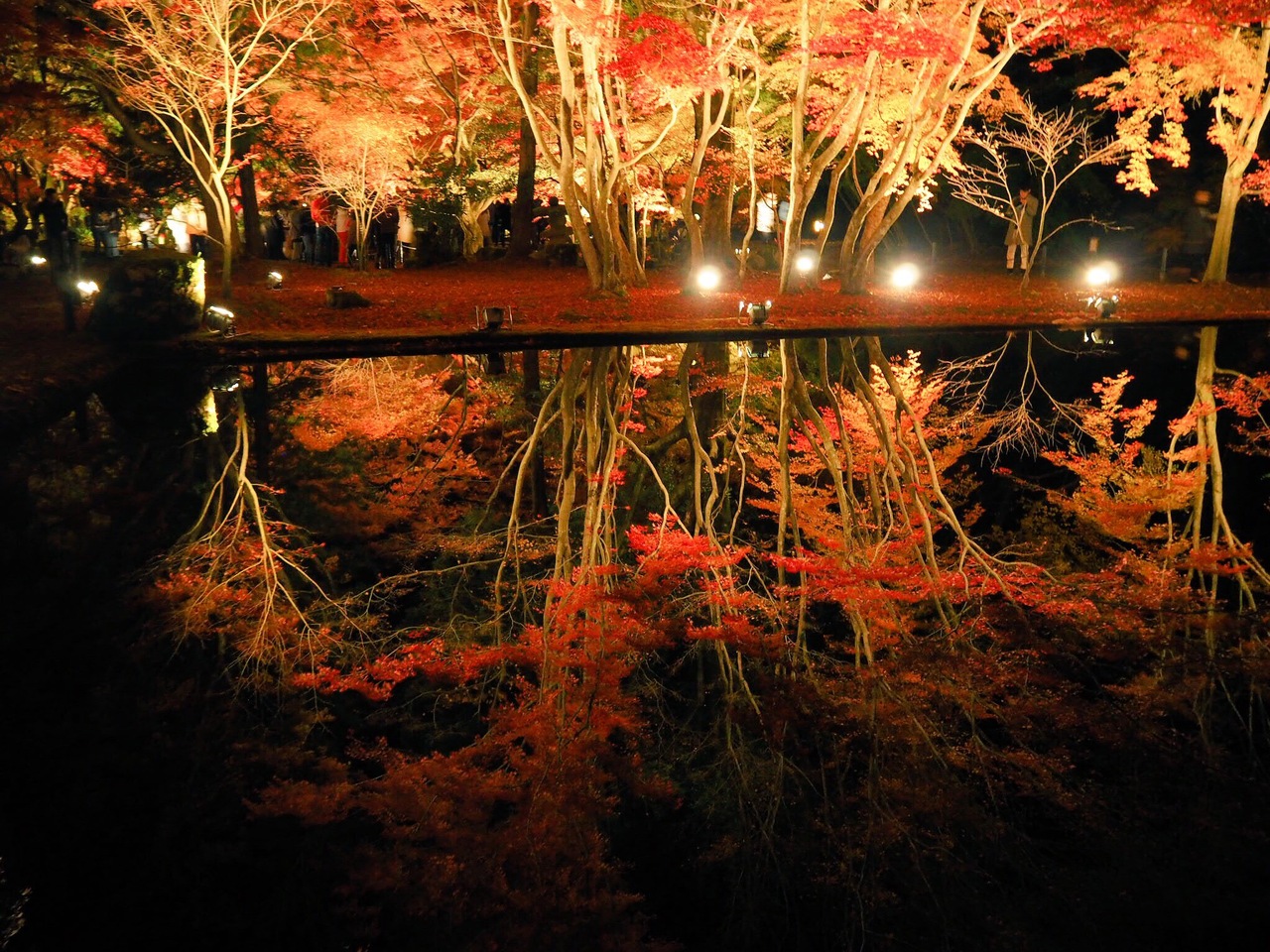 Ngắm lá đỏ ngay tại nagoya công viên Higashiyama