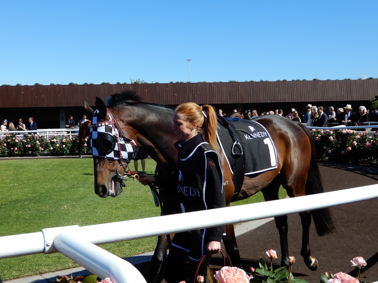 ２０１７年 オーストラリア メルボルンで競馬漬けの旅 フレミントン競馬場 ヴィクトリアダービー 中篇 メルボルン オーストラリア の旅行記 ブログ By おけら街道さん フォートラベル