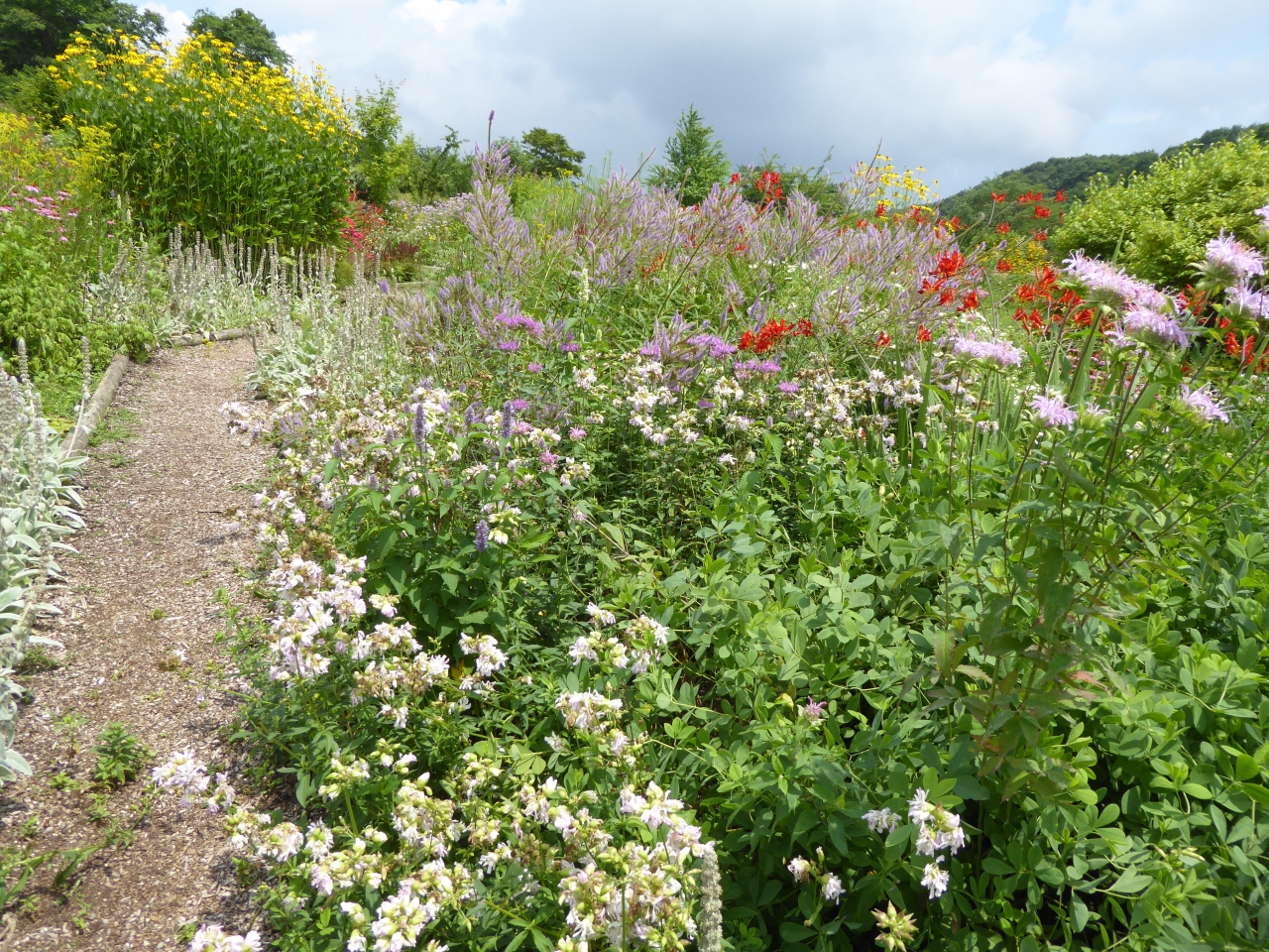 夏の軽井沢バカンス Vol11 中之条 高原の花畑 花楽の里 はラビリンス 中之条 群馬県 の旅行記 ブログ By コトルさん フォートラベル 夏の軽井沢バカンス Vol11 中之条 高原の花畑 花楽の里 はラビリンス 中之条 群馬県 の旅行記 ブログ By コトルさん フォートラベル