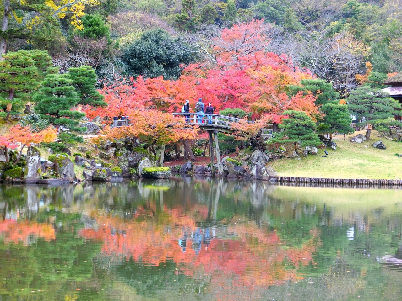 紅葉の彦根と鶏足寺一人旅 2日目 彦根城 伝統的建造物群保存地区 多賀大社 滋賀県の旅行記 ブログ By まうさん フォートラベル