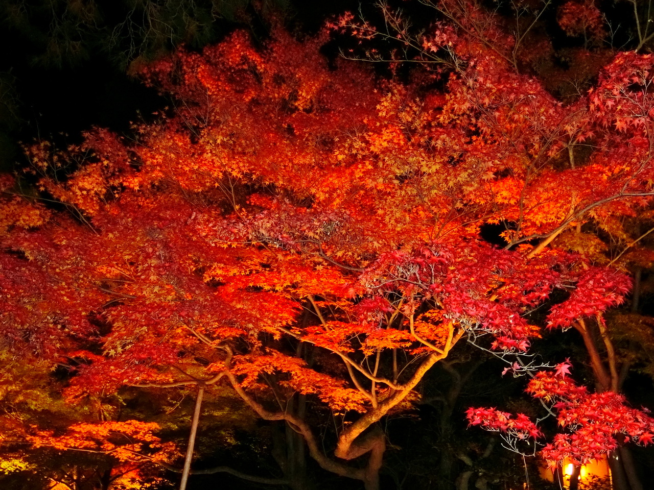 やはり混雑していた紅葉の京都 １ 宇治 京都 の旅行記 ブログ By Eiさん フォートラベル