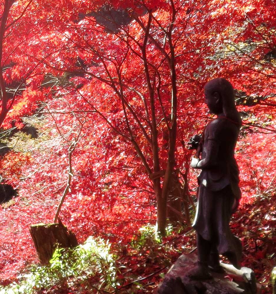 やっぱり最高だった日本の紅葉 その２ ー神奈川県の紅葉名所 大山 丹沢 大山 神奈川県 の旅行記 ブログ By Miharashiさん フォートラベル