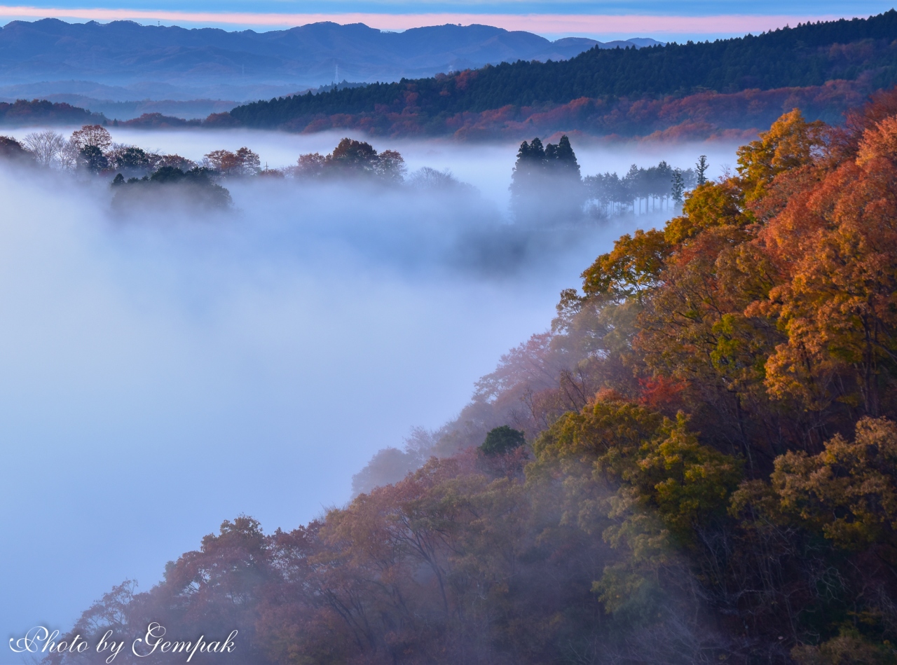 雲海の絶景を求めて3年ぶりに鎌倉山へ 益子 茂木 栃木県 の旅行記 ブログ By 玄白さん フォートラベル 雲海の絶景を求めて3年ぶりに鎌倉山へ 益子 茂木 栃木県 の旅行記 ブログ By 玄白さん フォートラベル
