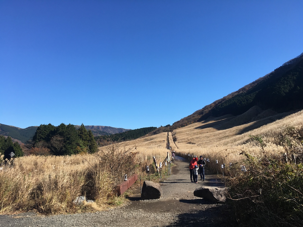 秋の箱根路 秋を満喫ぶらぶらドライブ 仙石原 神奈川県 の旅行記 ブログ By Yasuさん フォートラベル