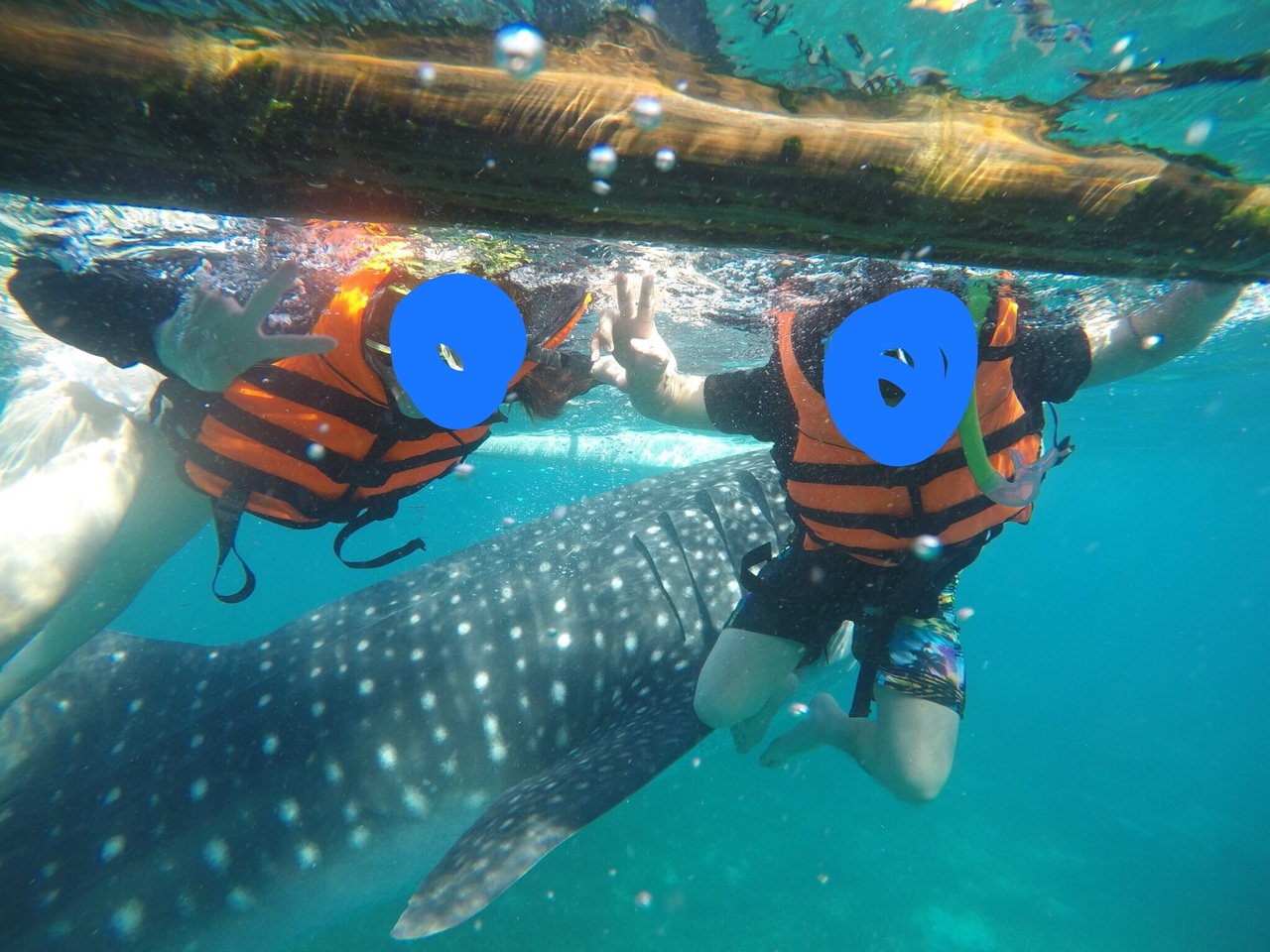 17年11月 セブ島3泊4日 オスロブ カワサン滝 セブ島 フィリピン の旅行記 ブログ By Travelankoさん フォートラベル