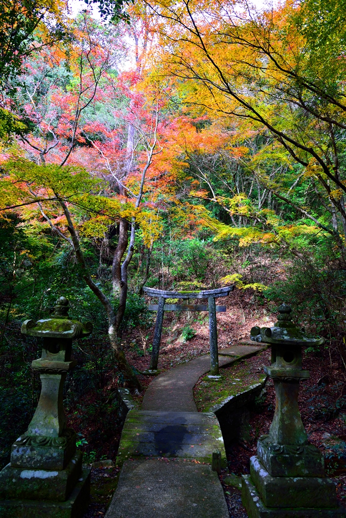 白馬渓ハイキング 臼杵 津久見 大分県 の旅行記 ブログ By 気まぐれなデジカメ館さん フォートラベル