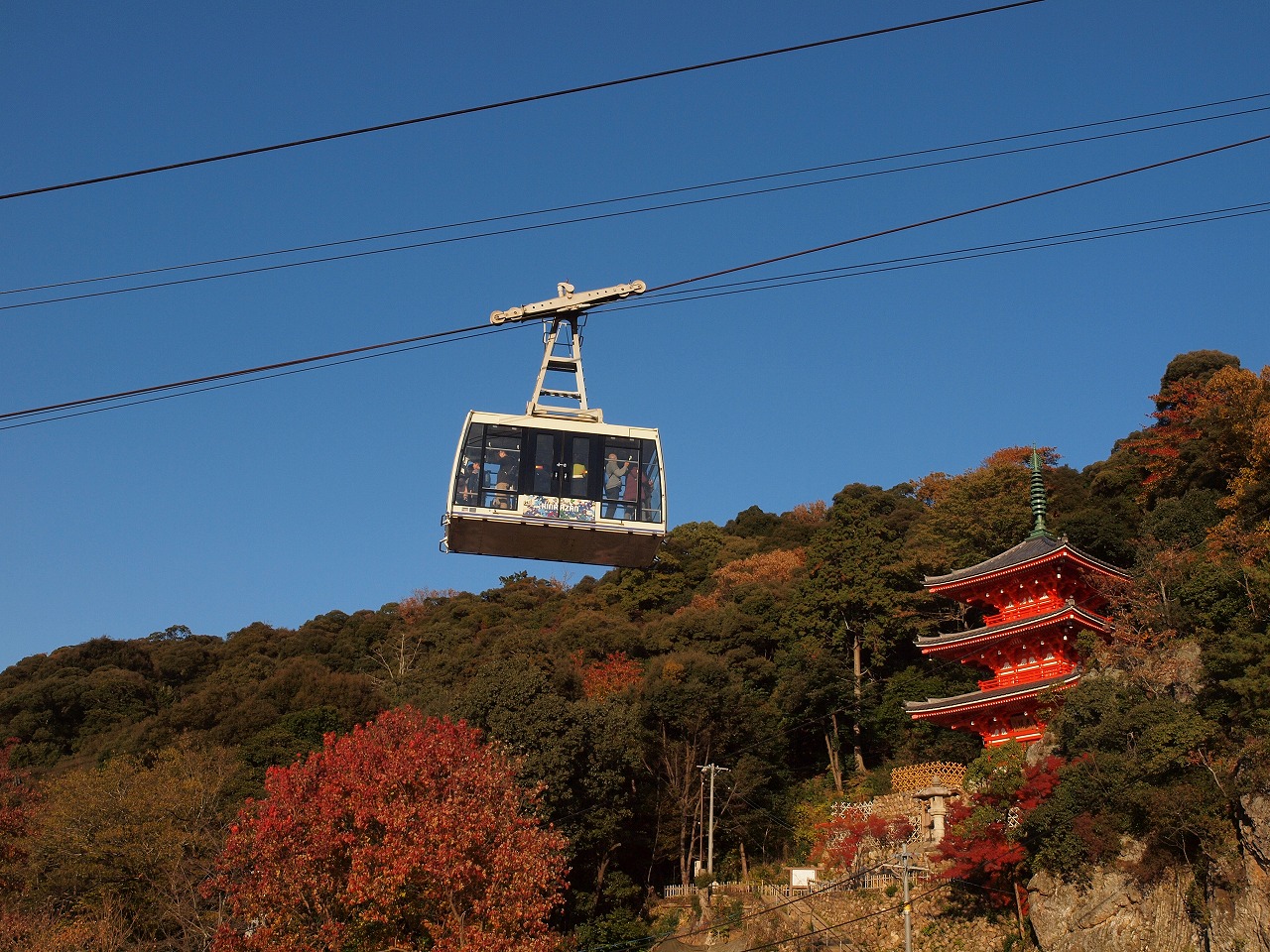 岐阜公園に美しい紅葉を見に行こう 長良川散歩と川原町の町並み 最後は玉宮町で飲み歩こう 岐阜市 岐阜県 の旅行記 ブログ By ４人目のふーさん フォートラベル