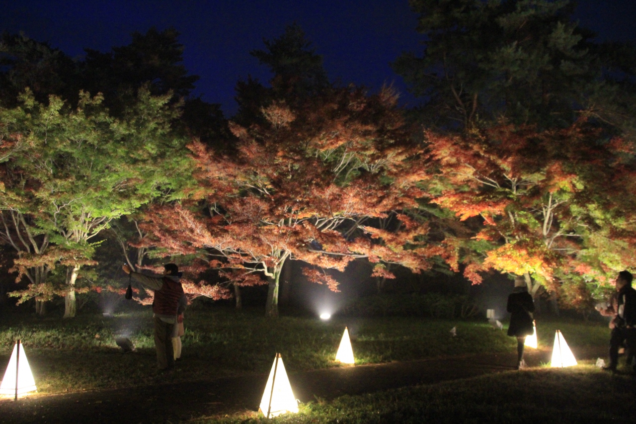 森林公園 紅葉見ナイト ライトアップで幻想的な昼とは違う夜の顔 16年 東松山 埼玉県 の旅行記 ブログ By ミッキーマーチさん フォートラベル