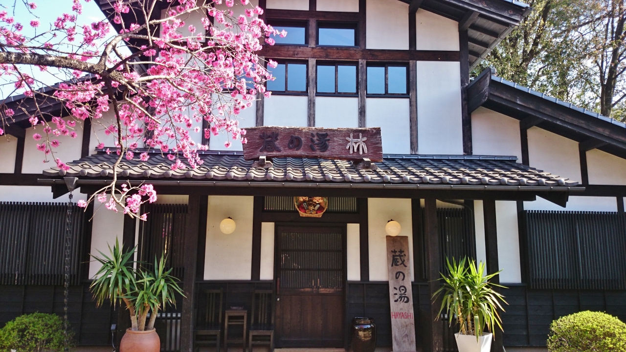 初体験 栃木の藤棚と群馬のsl 8 8 猿ヶ京温泉 旅籠屋丸一で温泉と夕食を満喫 猿ヶ京温泉 群馬県 の旅行記 ブログ By れおんさん フォートラベル