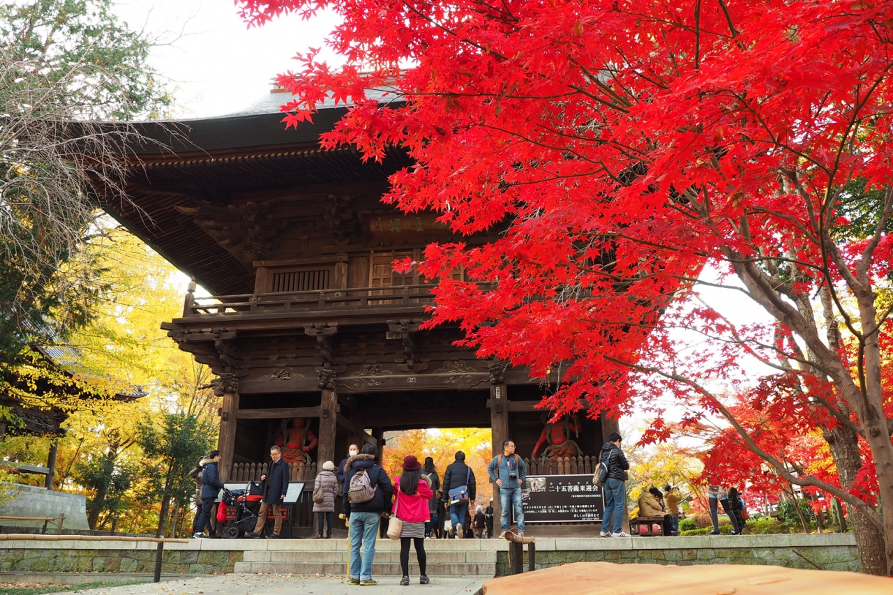 駅徒歩１分都心の京都 紅葉の九品仏浄真寺 自由が丘 東京 の旅行記 ブログ By Momotaさん フォートラベル