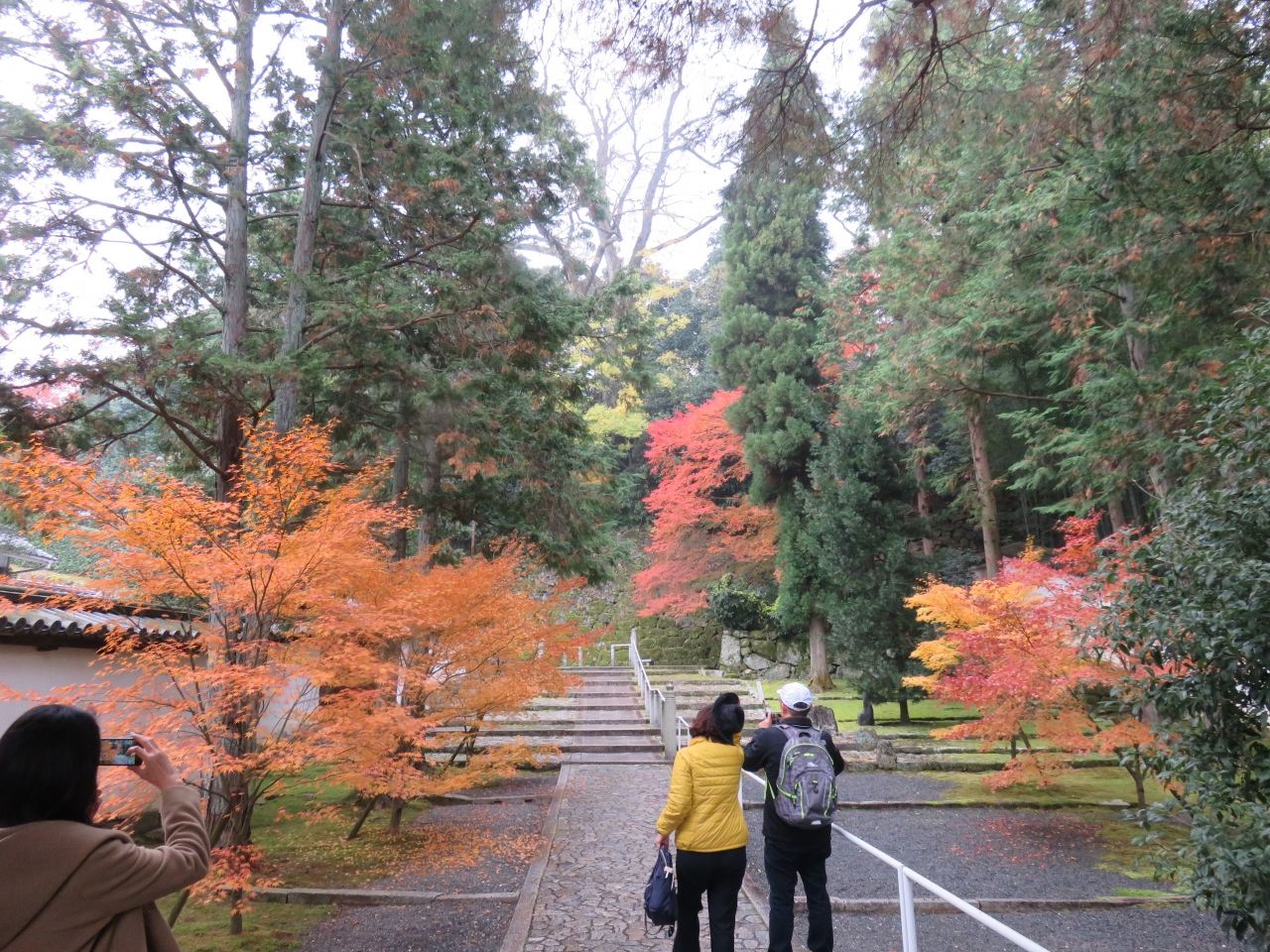 京都の紅葉と着物姿 知恩院 円山公園 花見小路など歩き回るー 東山 祇園 北白川 京都 の旅行記 ブログ By Tadさん フォートラベル