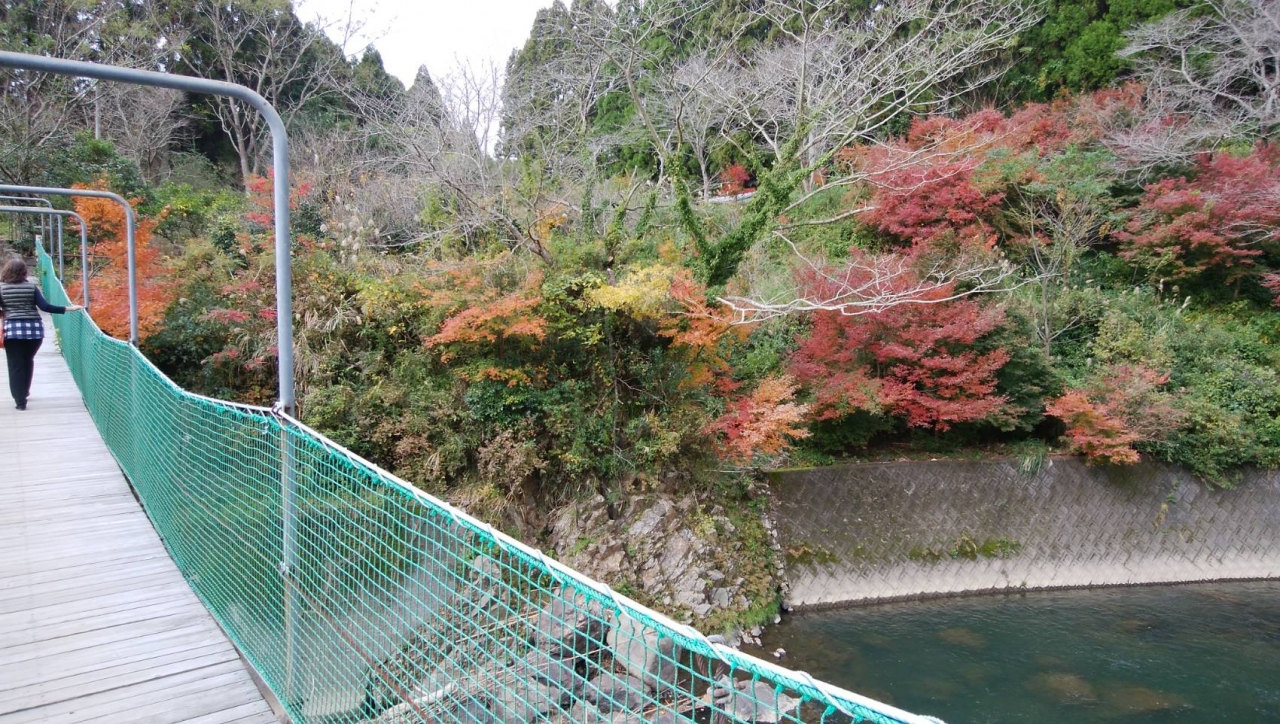 友達と紅葉を見に行ってみました 鹿児島県の旅行記 ブログ By かよちゃんさん フォートラベル