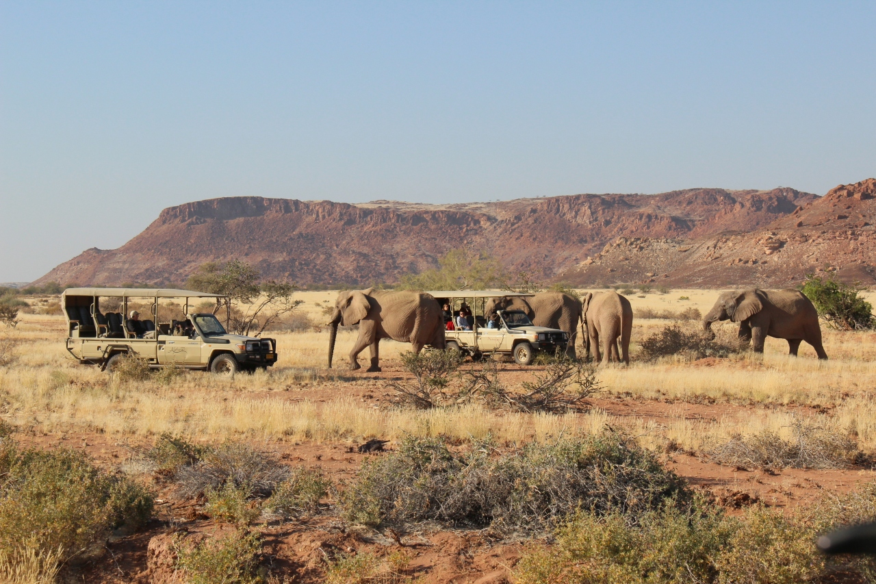 アフリカ旅行記 野生動物と大自然に触れる旅 その5 ダマラランド ダマラランド ナミビア の旅行記 ブログ By Wrabbitさん フォートラベル