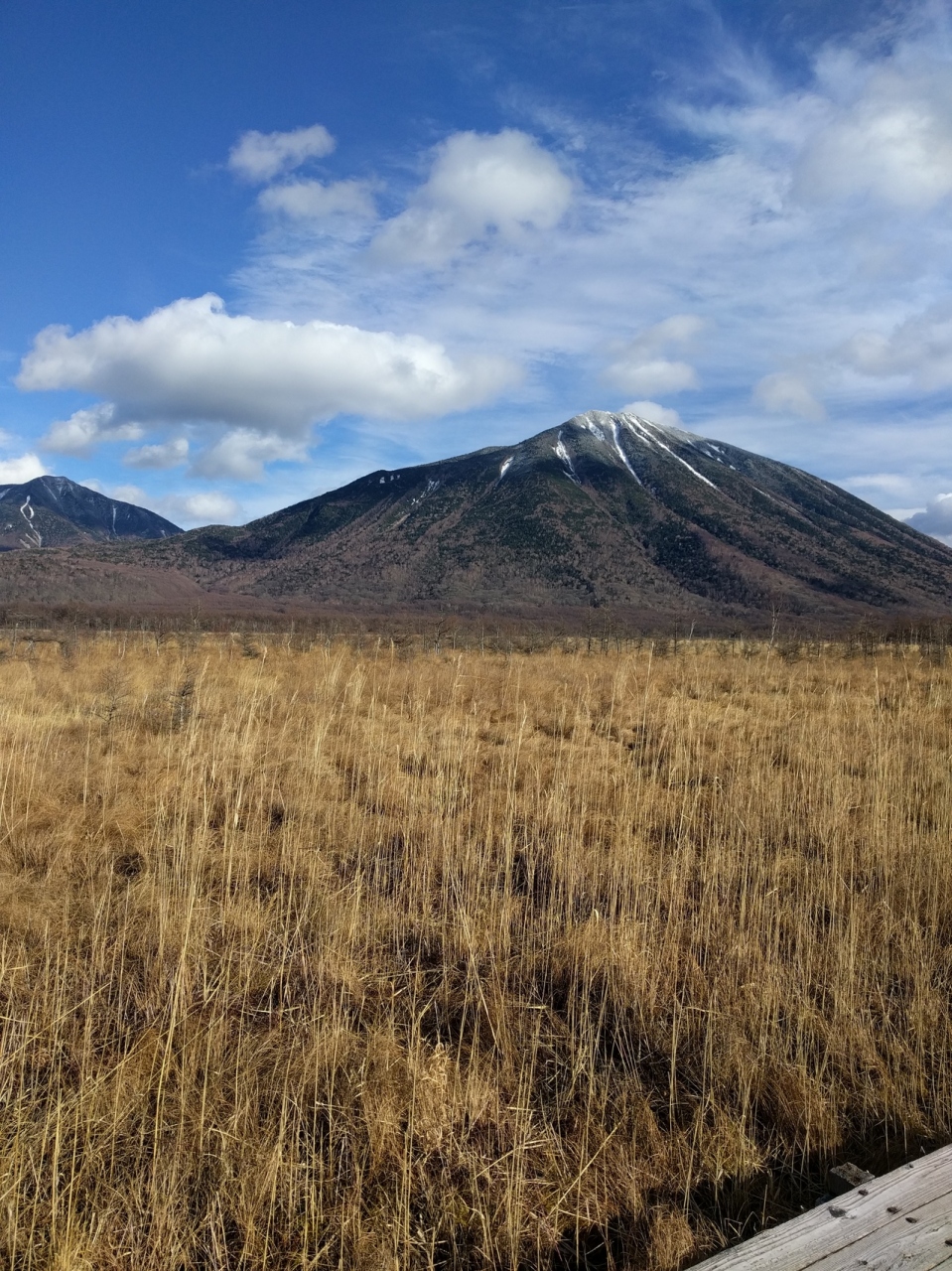 戦場ヶ原ハイキング 日光 栃木県 の旅行記 ブログ By いくらこさん フォートラベル 戦場ヶ原ハイキング 日光 栃木県 の旅行記 ブログ By いくらこさん フォートラベル