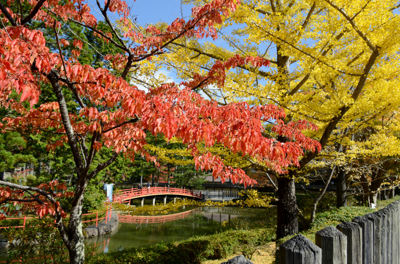 高野山の紅葉 和歌山県の旅行記 ブログ By Punchmsさん フォートラベル