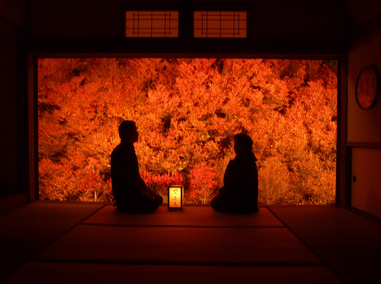 『幽玄の世界に浸る見事などうだんつつじの艶やかさ』出石・但東(兵庫県)の旅行記・ブログ by daimon68さん【フォートラベル】