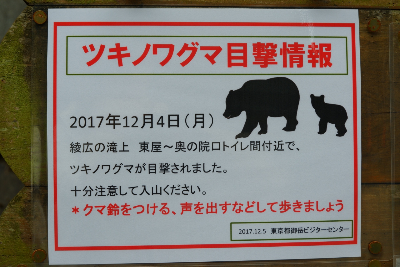 初冬の奥多摩さんぽ 奥多摩 東京 の旅行記 ブログ By まりもまめさん フォートラベル