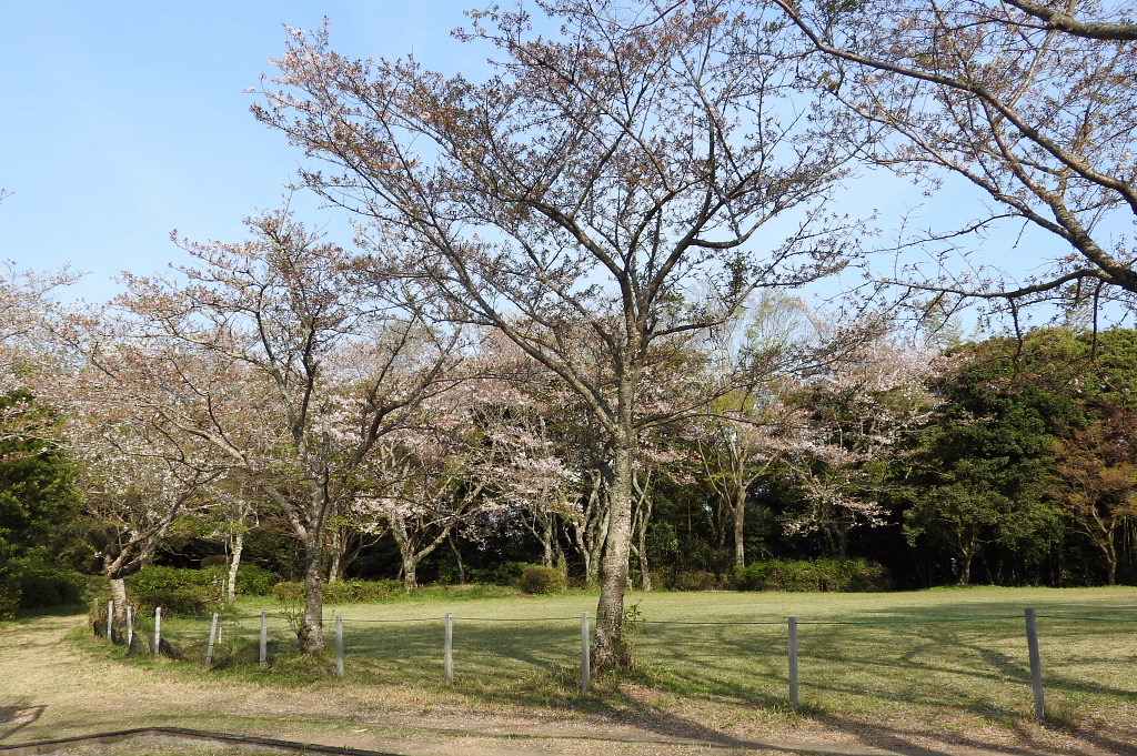 羽黒山公園でバードウォッチング フラワーウォッチング 16 2 鉾田 行方 茨城県 の旅行記 ブログ By 潮来メジロさん フォートラベル 羽黒山公園でバードウォッチング フラワーウォッチング 16 2 鉾田 行方 茨城県 の旅行記 ブログ By 潮来メジロさん フォートラベル