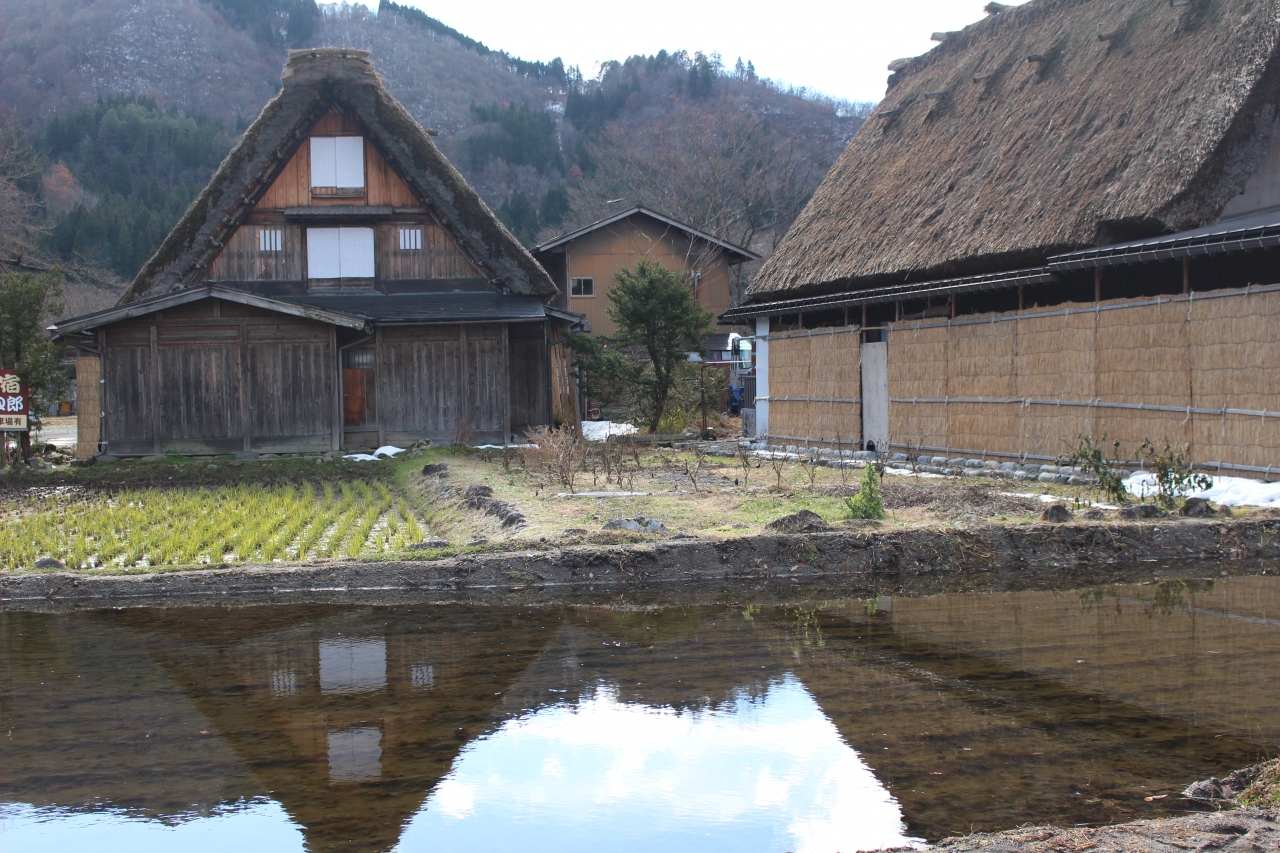 白川郷にもインバウンドの波』白川郷(岐阜県)の旅行記・ブログ by rei 