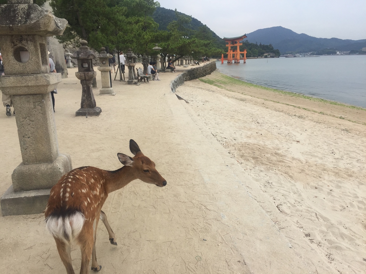 夏の終わりの広島 愛媛旅 広島編 広島県の旅行記 ブログ By ななさん フォートラベル