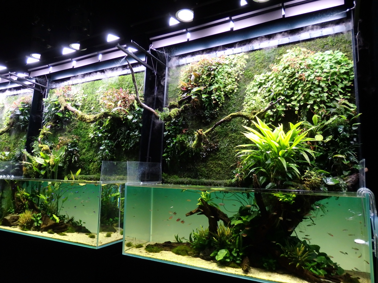 天野 尚 Nature Aquarium展 東京ドームシティ 美しい風景写真と 自然を再現したアクアリウムの世界 水道橋 東京 の旅行記 ブログ By まーやんさん フォートラベル