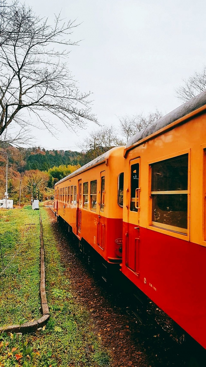 小湊鉄道 いすみ鉄道と養老渓谷温泉旅 1日目 千葉県の旅行記 ブログ By Gontagontaさん フォートラベル 小湊鉄道 いすみ鉄道と養老渓谷温泉旅 1日目 千葉県の旅行記 ブログ By Gontagontaさん フォートラベル