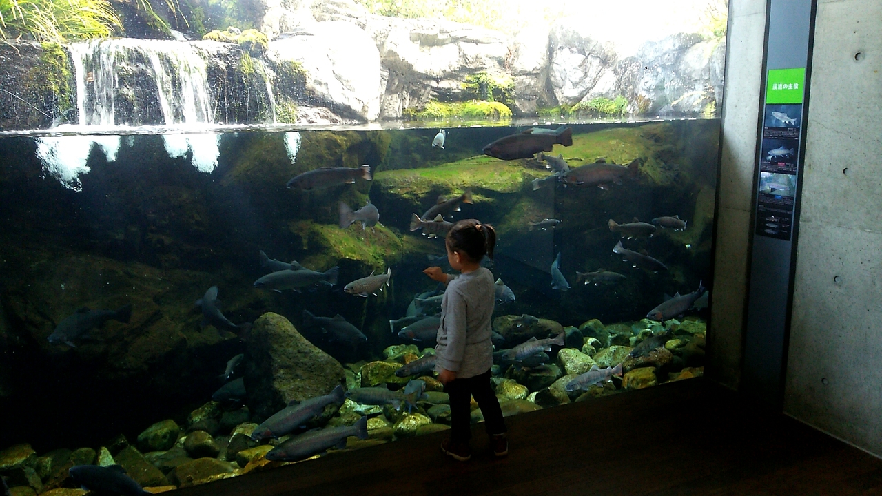 真冬に子供と那須塩原で遊ぶ 水族館 栃木県の旅行記 ブログ By Ayanoさん フォートラベル 真冬に子供と那須塩原で遊ぶ 水族館 栃木県の旅行記 ブログ By Ayanoさん フォートラベル