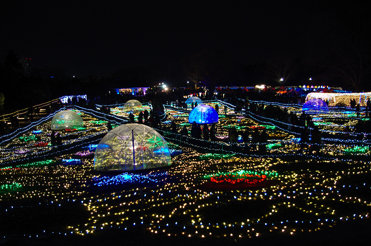 昭和記念公園 イルミネーション 立川 東京 の旅行記 ブログ By Pupu779さん フォートラベル 昭和記念公園 イルミネーション 立川 東京 の旅行記 ブログ By Pupu779さん フォートラベル