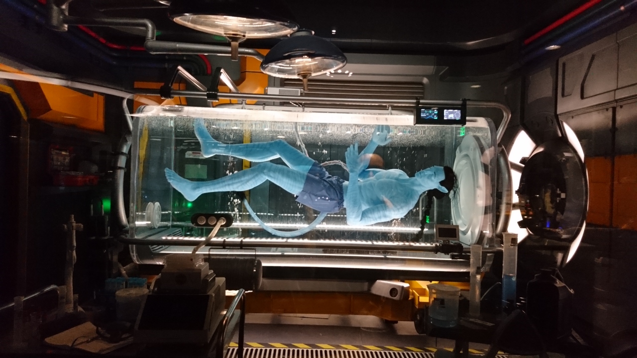 映画 アバター の美しすぎる世界 ディズニーワールド 9日間 フロリダ オーランド アメリカ の旅行記 ブログ By ぽっつさん フォートラベル