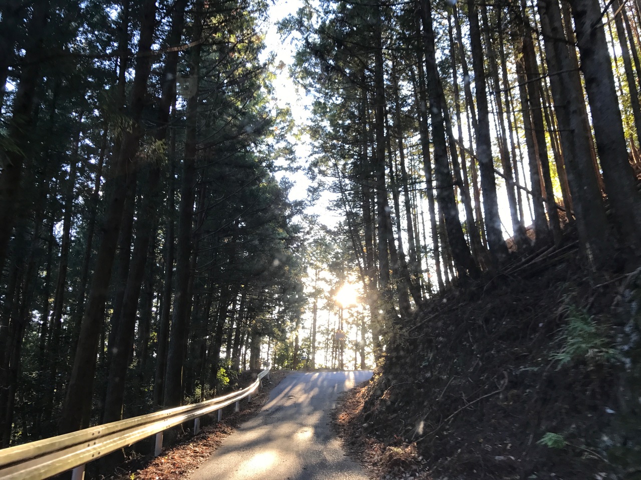 三重県道の駅巡り 珍布峠への旅2日目 三重県の旅行記 ブログ By 河谷海山さん フォートラベル 三重県道の駅巡り 珍布峠への旅2日目 三重県の旅行記 ブログ By 河谷海山さん フォートラベル
